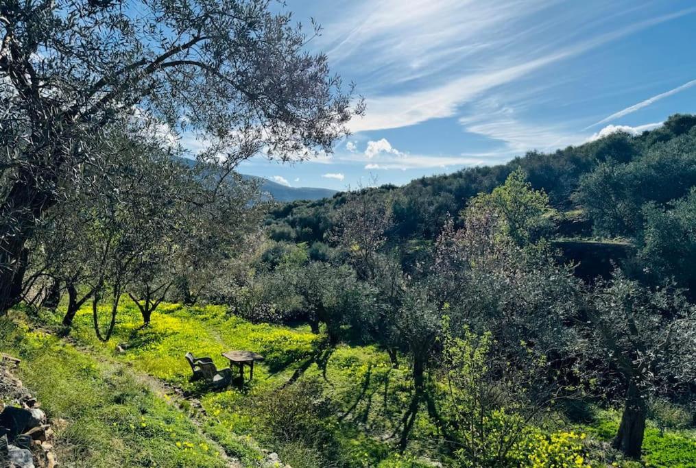 Almond Hill House Villa Orgiva Dış mekan fotoğraf