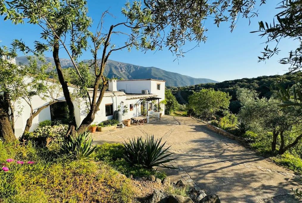Almond Hill House Villa Orgiva Dış mekan fotoğraf