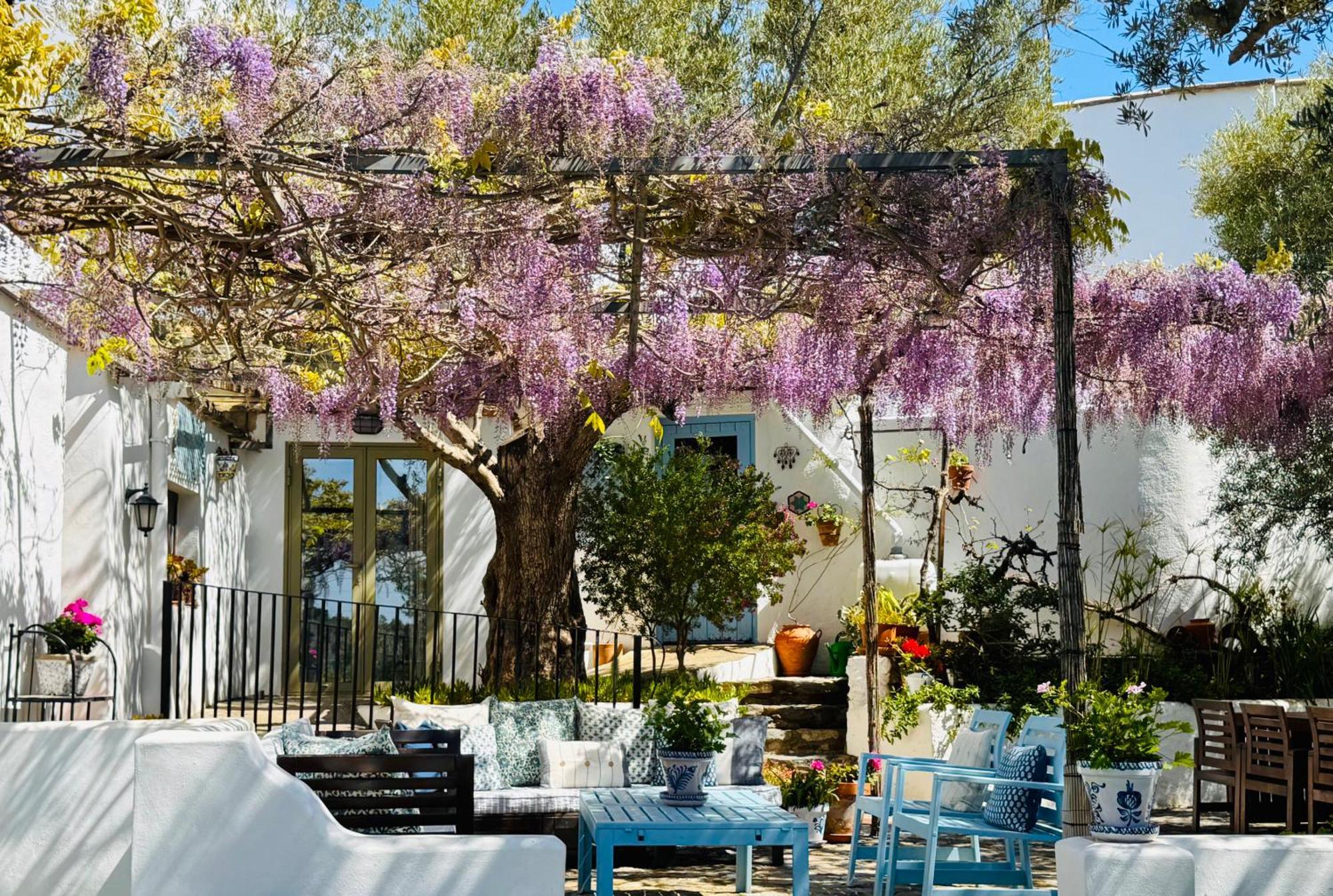 Almond Hill House Villa Orgiva Dış mekan fotoğraf